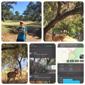 Last day of running with deer and the beauty of human nature
